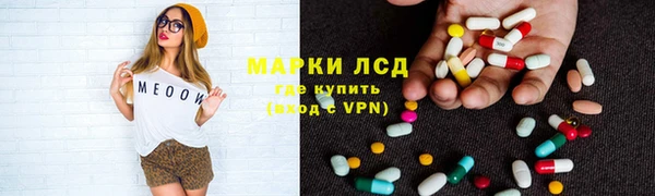 хмурый Алексин