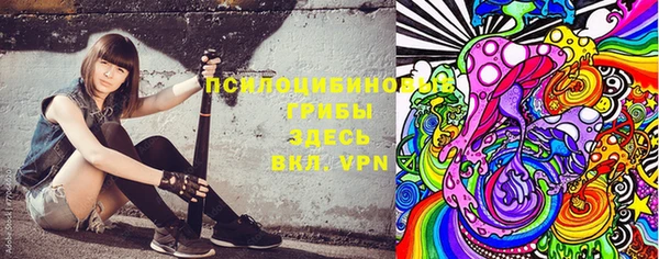 хмурый Алексин